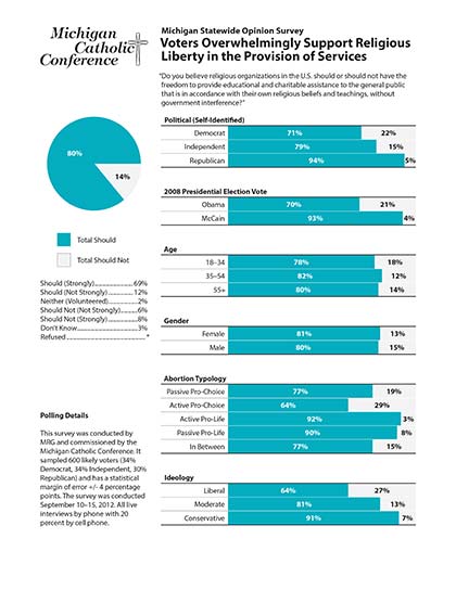 First page of Michigan Statewide Opinion Survey